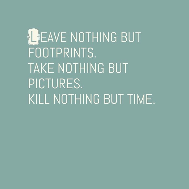 Via #notegraphy #newyearsresolution #art #travel #blogger #animals #veggie