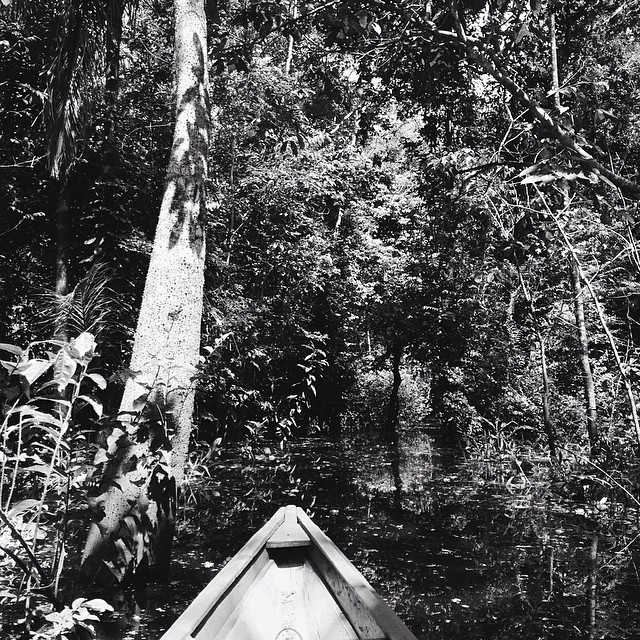 Lets float. #boat #amazonas #jungle #nature #travel #beauty #picoftheday #instalove #igtravelthursday #vsco