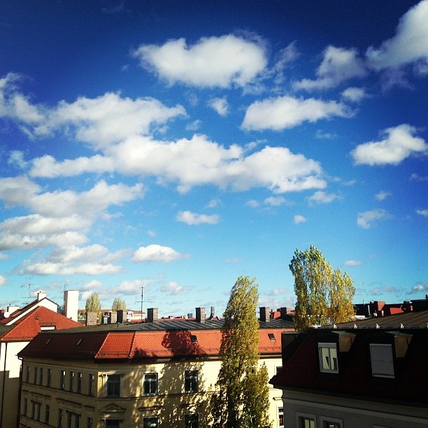 Was da los? Hallo, Sonne, bleibst du für nen Moment? #sun #roof #munich #autumn #november