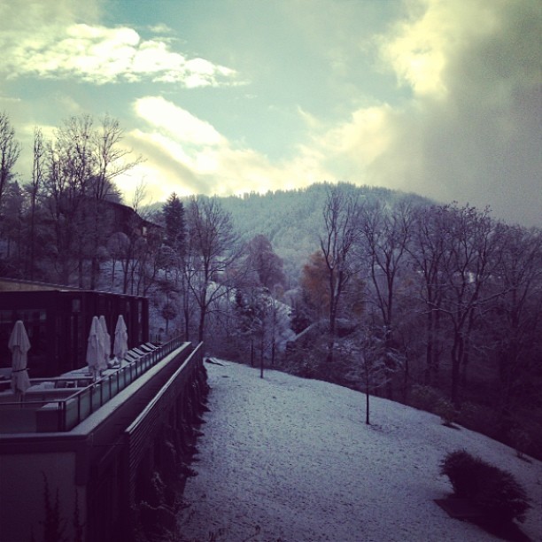 Good morning! #tegernsee