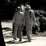 Die Anziehungskraft der Bücher und die Träne hinter dem Auge