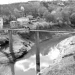 “Don’t you just love the cow poo?”