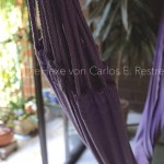 Die Hexe von Carlos E. Restrepo