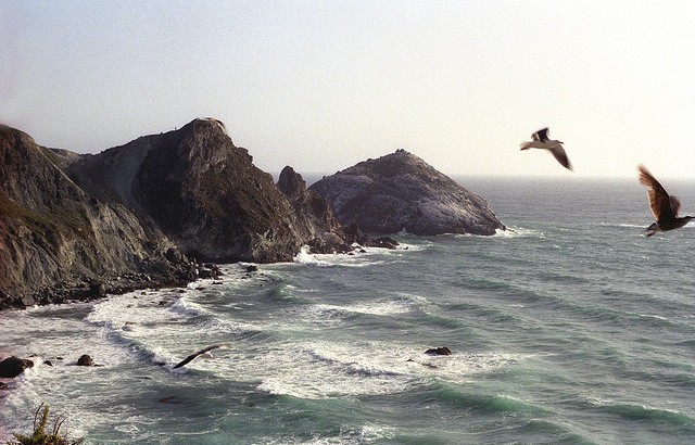 2558803383_07ed30eb92_z