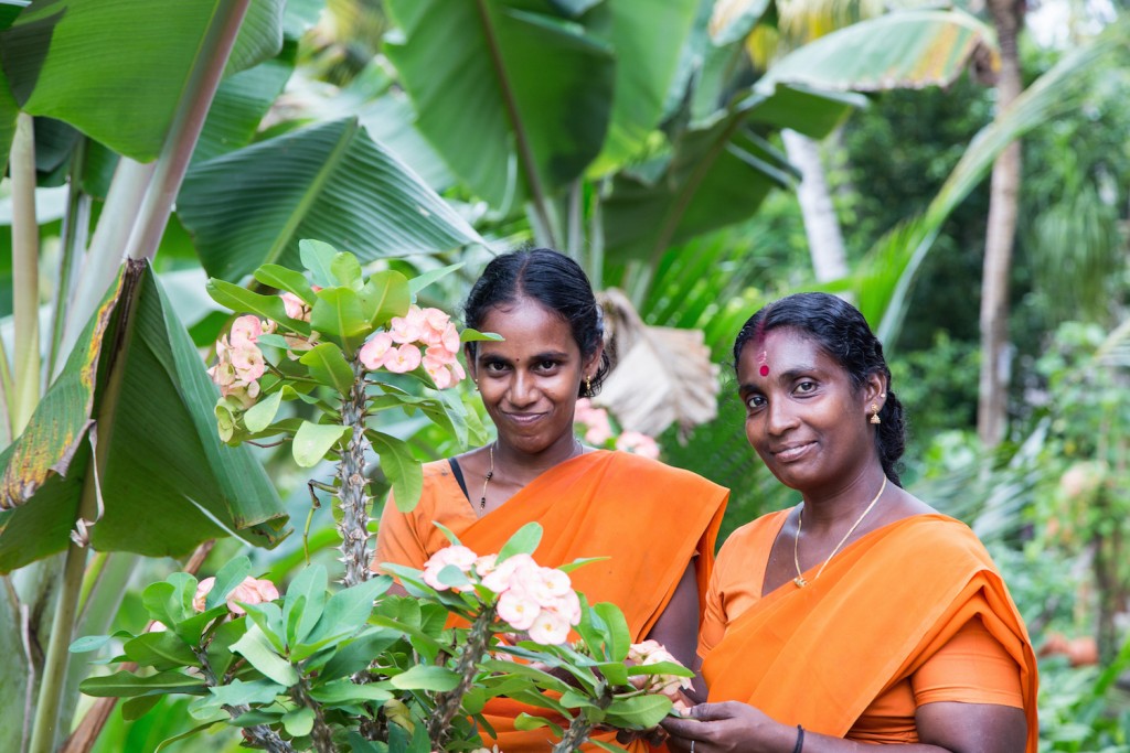 somatheeram_anidenkt