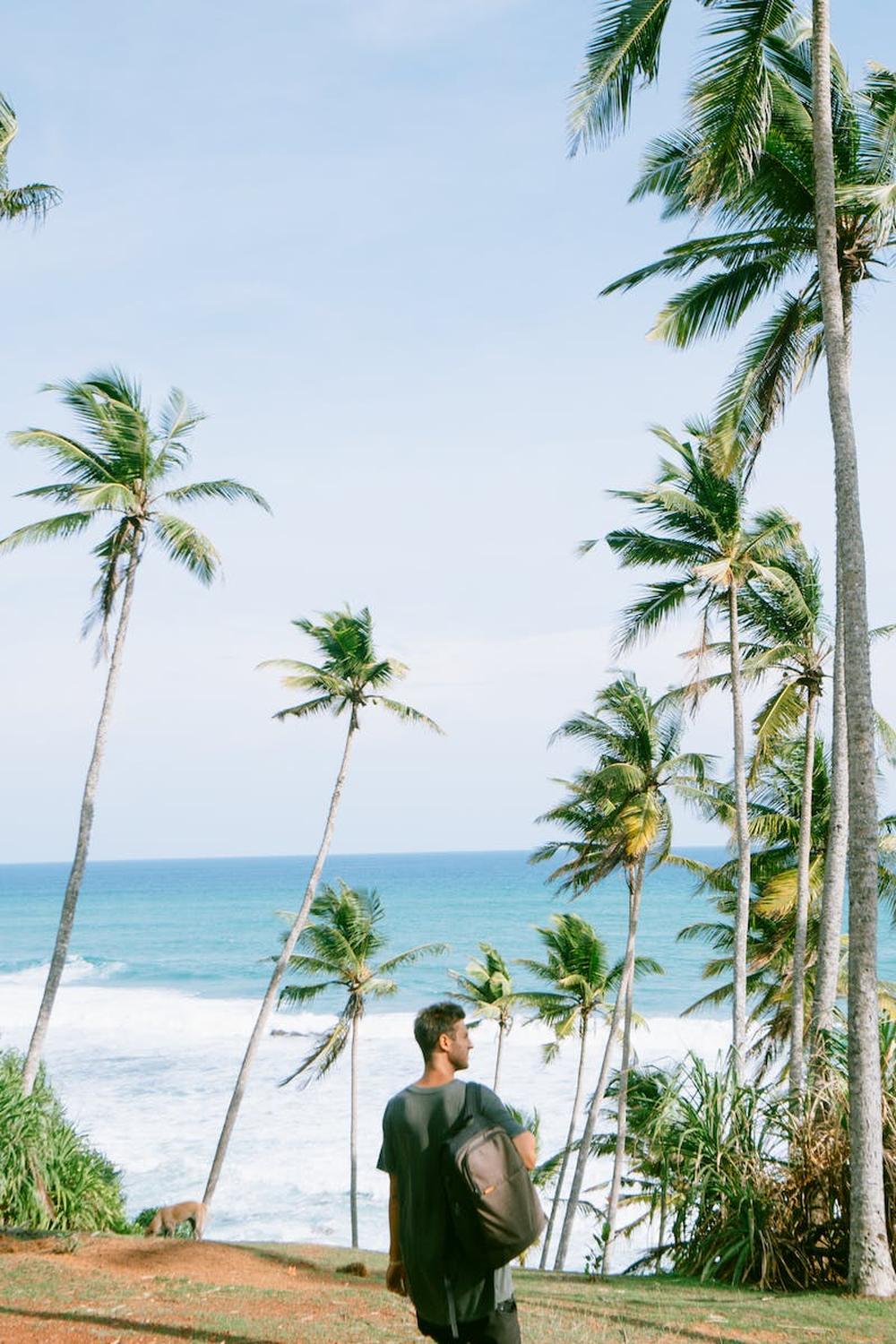 back_view_of_a_man_walking_towards_the_beach