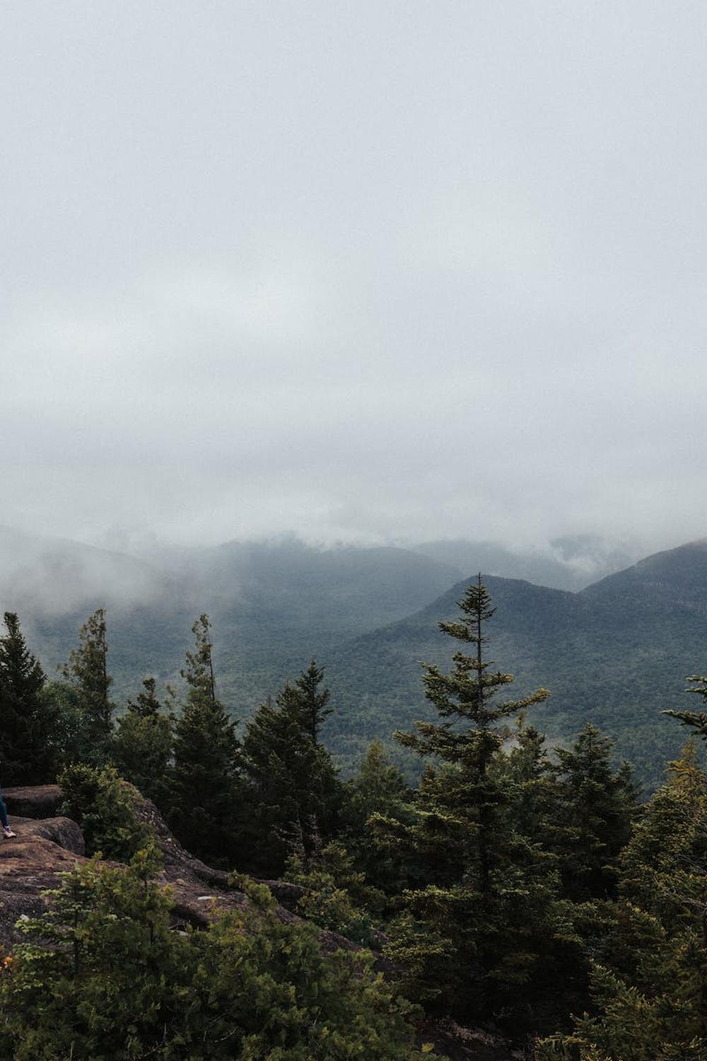 woman_on_hilltop_over_forest_under_clouds