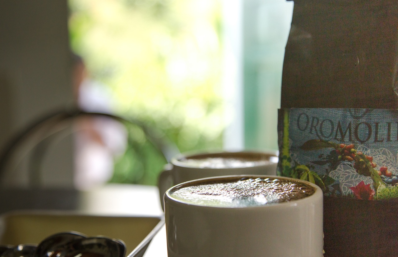 Frischer Kaffee auf der Kaffeeplantage Campo Amor!