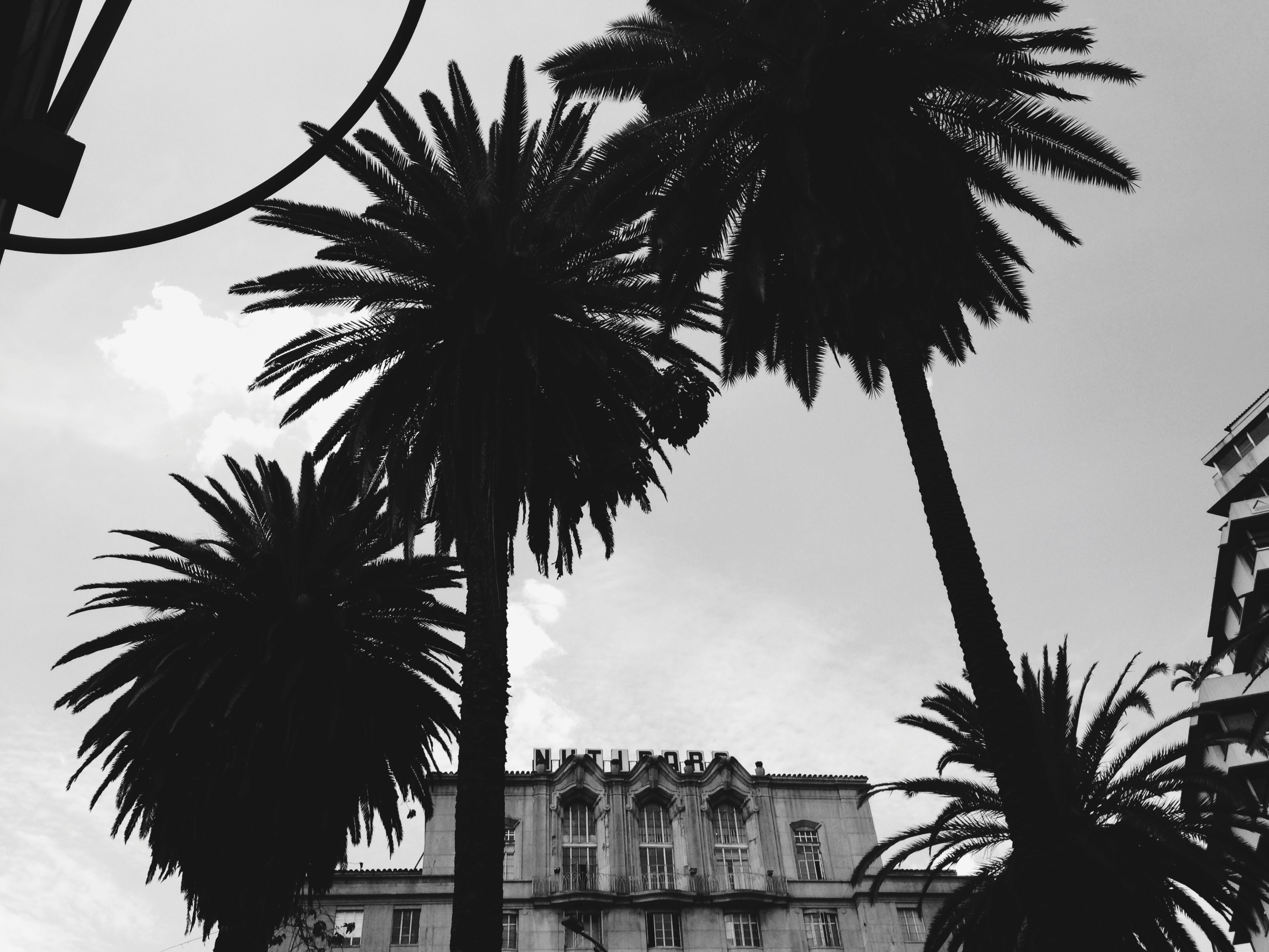 Processed with VSCOcam with b5 preset