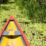 Mein Weltwunder: Der Amazonas
