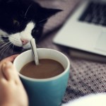 #Kaffeesätze (4): Von Schreibblockaden und Inspirationslöchern