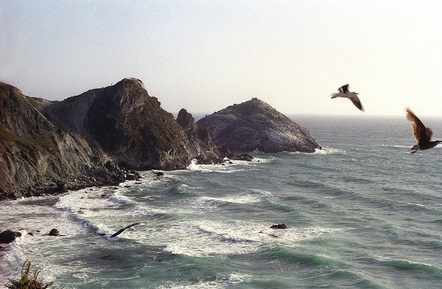 2558803383_07ed30eb92_z