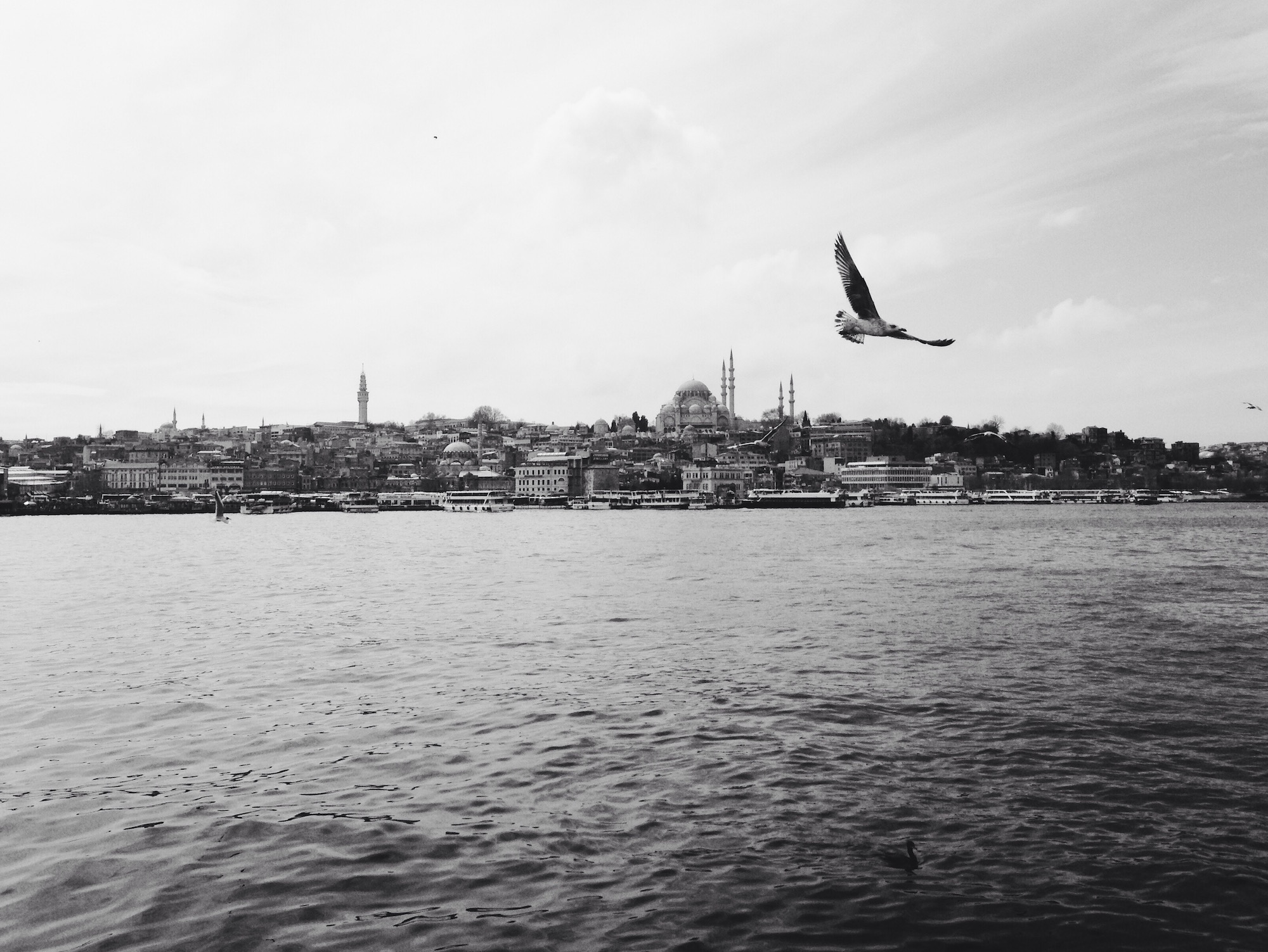 Processed with VSCOcam with b5 preset