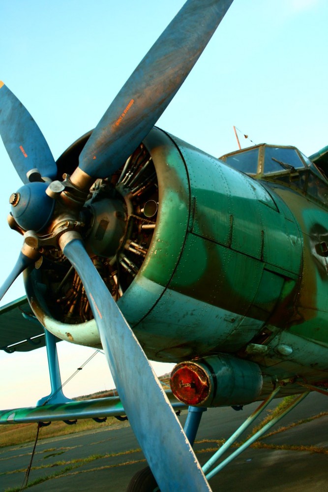 anidenkt_fallschirmsprung2