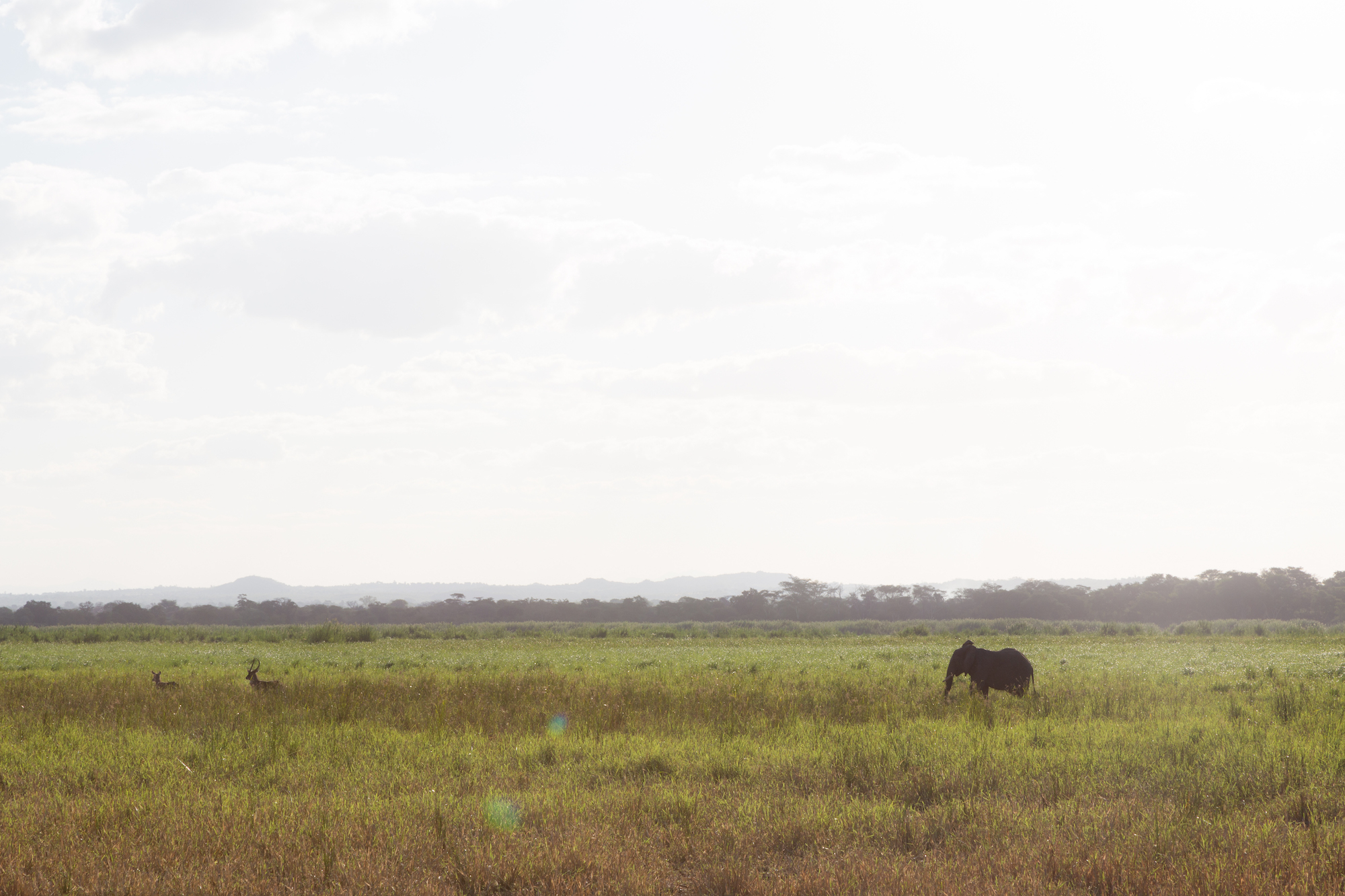 busman_baobab_malawi_anidenkt15