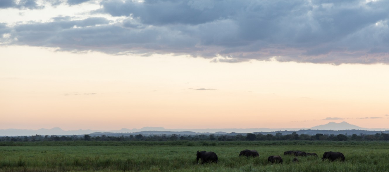 busman_baobab_malawi_anidenkt26